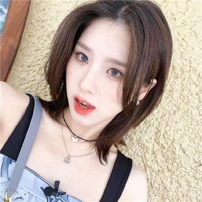 与森林共舞