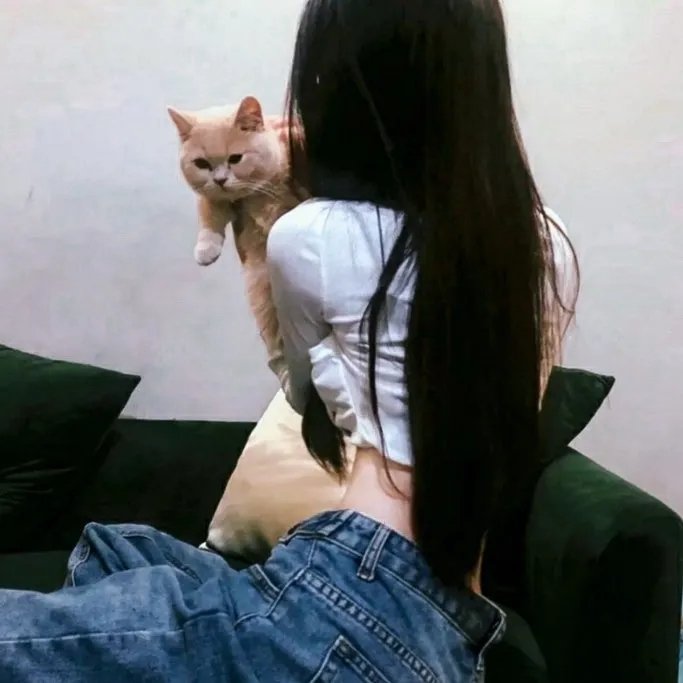 反诈风暴之不可饶恕